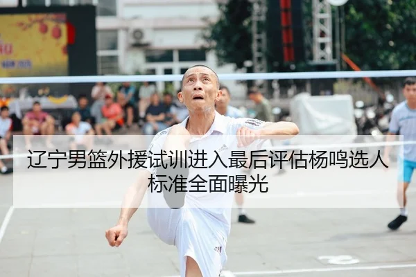 辽宁男篮外援试训进入最后评估杨鸣选人标准全面曝光